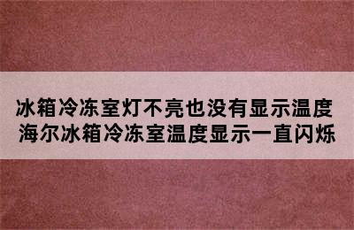 冰箱冷冻室灯不亮也没有显示温度 海尔冰箱冷冻室温度显示一直闪烁